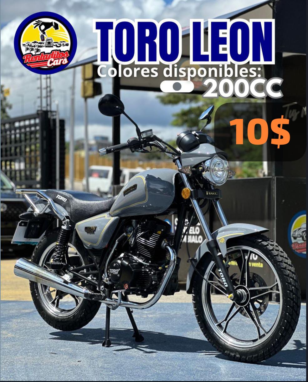 TORO LEON 2024 Gris