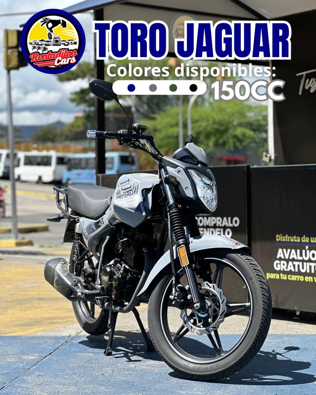 TORO JAGUAR 2024 Blanca