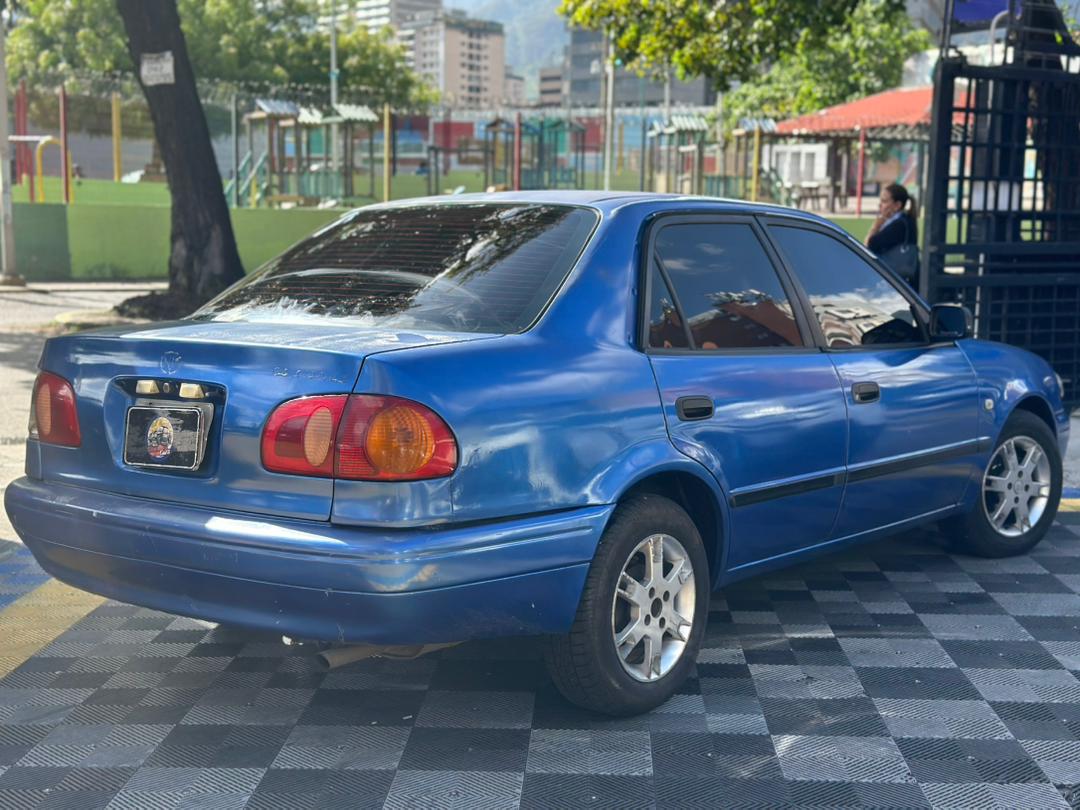 Miniatura