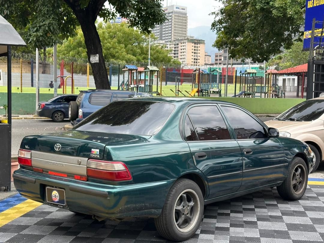 Miniatura