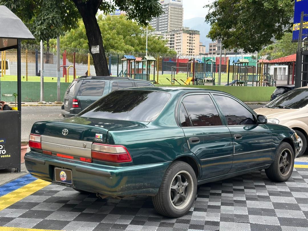 Miniatura