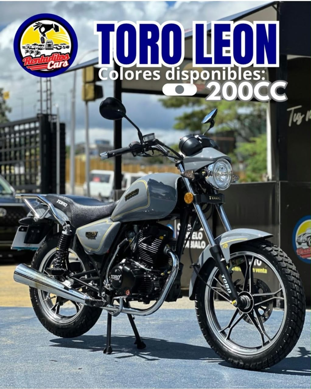 TORO LEON 2024 GRIS